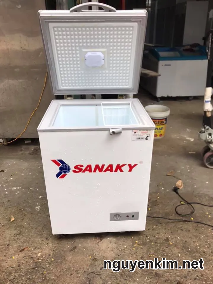 Tủ Đông Sanaky Mini Cũ