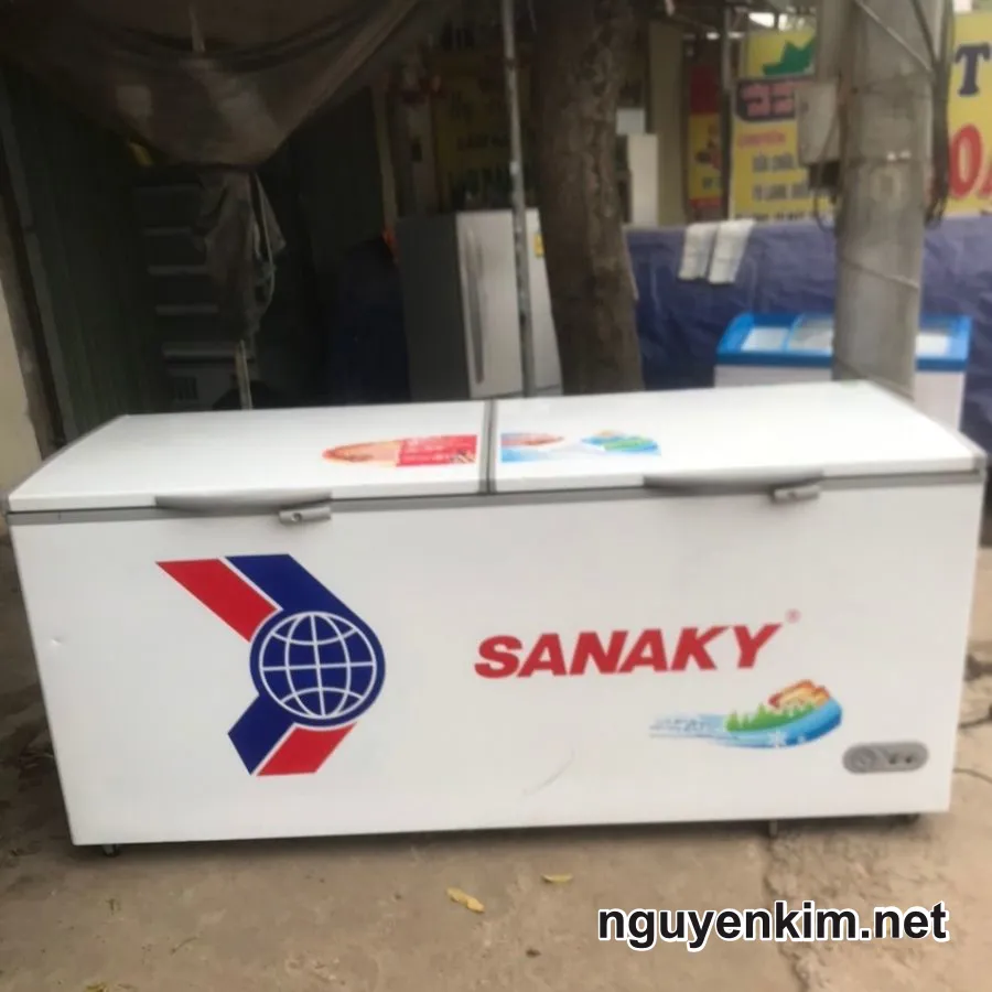 Tủ Đông Sanaky Cũ